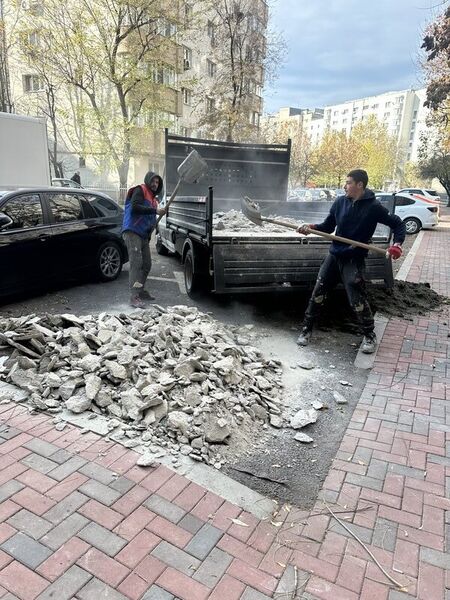 Sofer cu autobasculanta